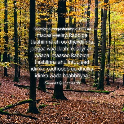 Picture 04 - Sharciga Kunoqoshadiisa 6:15 SOM - maxaa yeelay, Rabbiga Ilaahiinna ah oo dhexdiinna - Bible Verse Picture