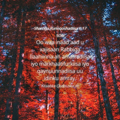 Picture 04 - Sharciga Kunoqoshadiisa 6:17 SOM - Oo waa inaad aad u xajisaan Rabbiga Ilaahiinna ah - Bible Verse Picture