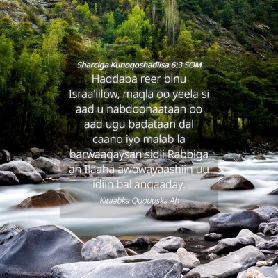 Picture 04 - Sharciga Kunoqoshadiisa 6:3 SOM - Haddaba reer binu Israa'iilow, maqla oo yeela si - Bible Verse Picture