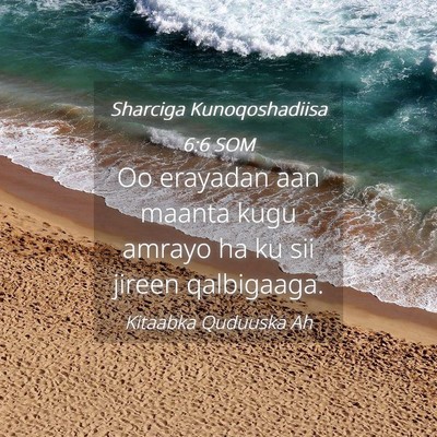 Picture 04 - Sharciga Kunoqoshadiisa 6:6 SOM - Oo erayadan aan maanta kugu amrayo ha ku sii - Bible Verse Picture