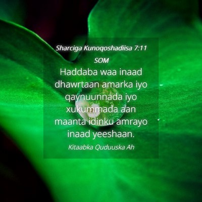 Picture 04 - Sharciga Kunoqoshadiisa 7:11 SOM - Haddaba waa inaad dhawrtaan amarka iyo - Bible Verse Picture