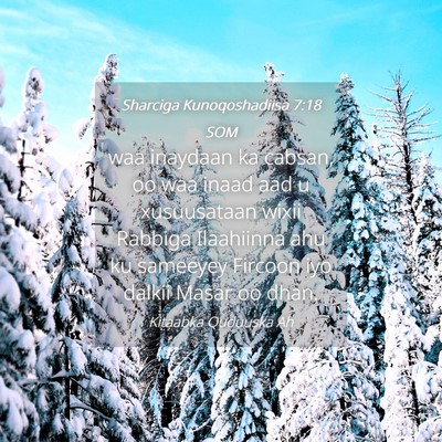 Picture 04 - Sharciga Kunoqoshadiisa 7:18 SOM - waa inaydaan ka cabsan, oo waa inaad aad u - Bible Verse Picture