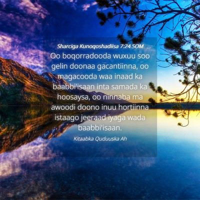Picture 04 - Sharciga Kunoqoshadiisa 7:24 SOM - Oo boqorradooda wuxuu soo gelin doonaa - Bible Verse Picture