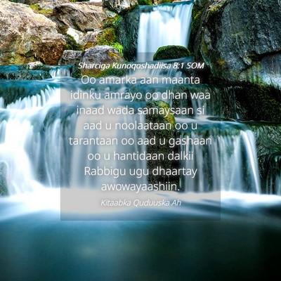 Picture 04 - Sharciga Kunoqoshadiisa 8:1 SOM - Oo amarka aan maanta idinku amrayo oo dhan waa - Bible Verse Picture