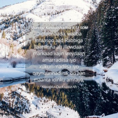 Picture 04 - Sharciga Kunoqoshadiisa 8:11 SOM - Digtoonaada, waaba intaasoo aad Rabbiga - Bible Verse Picture