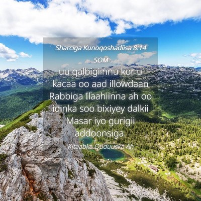 Picture 04 - Sharciga Kunoqoshadiisa 8:14 SOM - uu qalbigiinnu kor u kacaa oo aad illowdaan - Bible Verse Picture