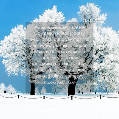 Picture 04 - Sharciga Kunoqoshadiisa 8:16 SOM - Oo intaad cidladii joogtay ayuu idinku quudiyey - Bible Verse Picture