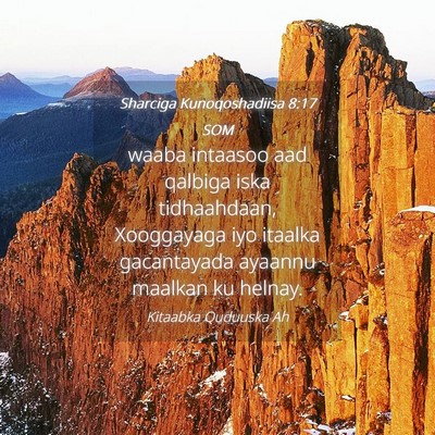 Picture 04 - Sharciga Kunoqoshadiisa 8:17 SOM - waaba intaasoo aad qalbiga iska tidhaahdaan, - Bible Verse Picture