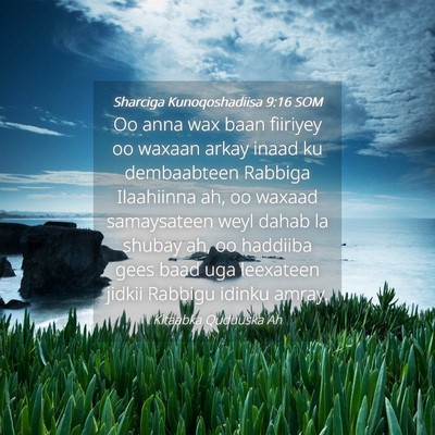 Picture 04 - Sharciga Kunoqoshadiisa 9:16 SOM - Oo anna wax baan fiiriyey oo waxaan arkay inaad - Bible Verse Picture