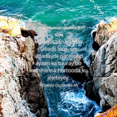 Picture 04 - Sharciga Kunoqoshadiisa 9:17 SOM - Markaasaan qaaday labadii loox, oo labadaydii - Bible Verse Picture