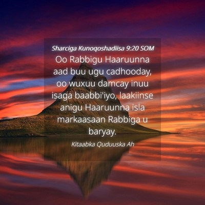 Picture 04 - Sharciga Kunoqoshadiisa 9:20 SOM - Oo Rabbigu Haaruunna aad buu ugu cadhooday, oo - Bible Verse Picture