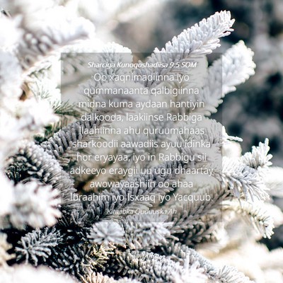 Picture 04 - Sharciga Kunoqoshadiisa 9:5 SOM - Oo xaqnimadiinna iyo qummanaanta qalbigiinna - Bible Verse Picture