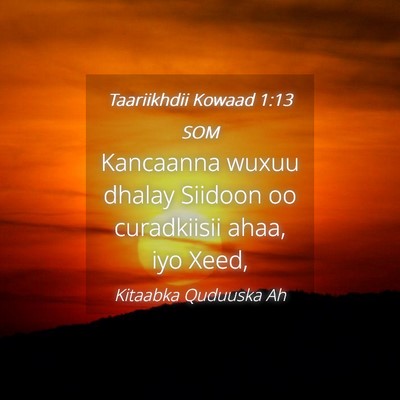 Picture 04 - Taariikhdii Kowaad 1:13 SOM - Kancaanna wuxuu dhalay Siidoon oo curadkiisii - Bible Verse Picture