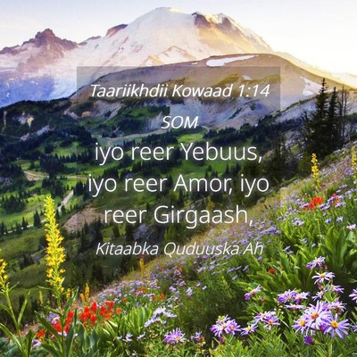 Picture 04 - Taariikhdii Kowaad 1:14 SOM - iyo reer Yebuus, iyo reer Amor, iyo reer - Bible Verse Picture