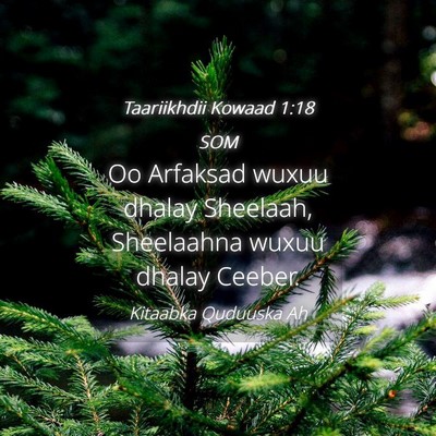 Picture 04 - Taariikhdii Kowaad 1:18 SOM - Oo Arfaksad wuxuu dhalay Sheelaah, Sheelaahna - Bible Verse Picture