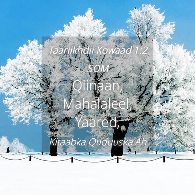 Picture 04 - Taariikhdii Kowaad 1:2 SOM - Qiinaan, Mahalaleel, - Bible Verse Picture