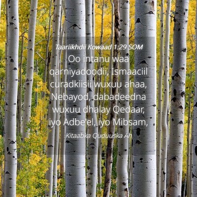Picture 04 - Taariikhdii Kowaad 1:29 SOM - Oo intanu waa qarniyadoodii, Ismaaciil - Bible Verse Picture
