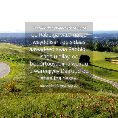 Picture 04 - Taariikhdii Kowaad 10:14 SOM - oo Rabbiga wax ma uu weyddiisan, oo sidaas - Bible Verse Picture