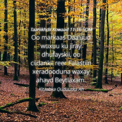 Picture 04 - Taariikhdii Kowaad 11:16 SOM - Oo markaas Daa'uud wuxuu ku jiray dhufayskii, oo - Bible Verse Picture