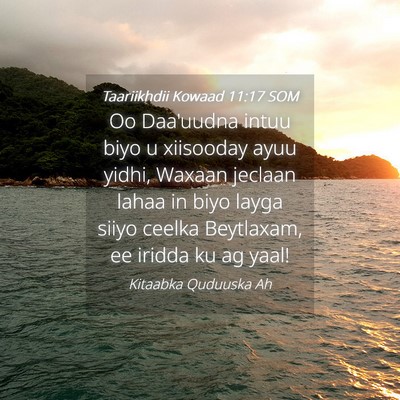 Picture 04 - Taariikhdii Kowaad 11:17 SOM - Oo Daa'uudna intuu biyo u xiisooday ayuu yidhi, - Bible Verse Picture