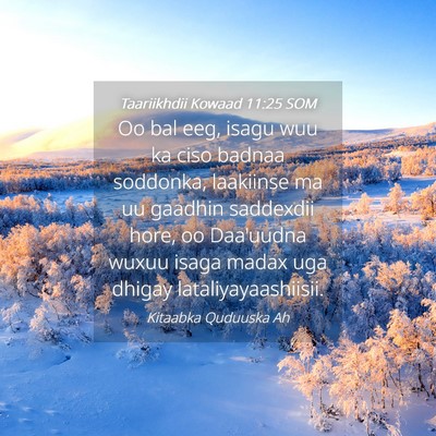 Picture 04 - Taariikhdii Kowaad 11:25 SOM - Oo bal eeg, isagu wuu ka ciso badnaa soddonka, - Bible Verse Picture