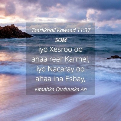 Picture 04 - Taariikhdii Kowaad 11:37 SOM - iyo Xesroo oo ahaa reer Karmel, iyo Nacaray oo - Bible Verse Picture