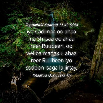 Picture 04 - Taariikhdii Kowaad 11:42 SOM - iyo Cadiinaa oo ahaa ina Shiisaa oo ahaa reer - Bible Verse Picture
