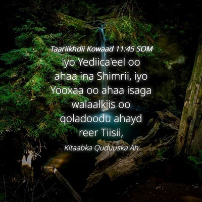 Picture 04 - Taariikhdii Kowaad 11:45 SOM - iyo Yediica'eel oo ahaa ina Shimrii, iyo Yooxaa - Bible Verse Picture