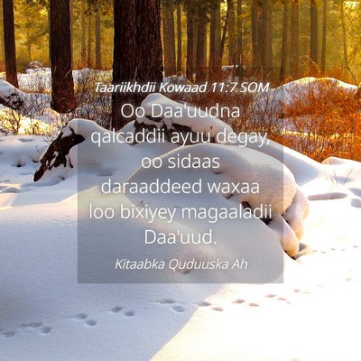 Picture 04 - Taariikhdii Kowaad 11:7 SOM - Oo Daa'uudna qalcaddii ayuu degay, oo sidaas - Bible Verse Picture