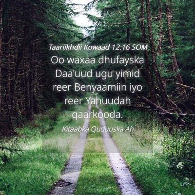 Picture 04 - Taariikhdii Kowaad 12:16 SOM - Oo waxaa dhufayska Daa'uud ugu yimid reer - Bible Verse Picture