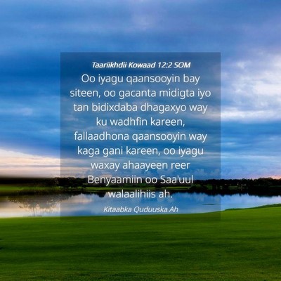 Picture 04 - Taariikhdii Kowaad 12:2 SOM - Oo iyagu qaansooyin bay siteen, oo gacanta - Bible Verse Picture