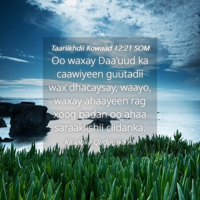 Picture 04 - Taariikhdii Kowaad 12:21 SOM - Oo waxay Daa'uud ka caawiyeen guutadii wax - Bible Verse Picture