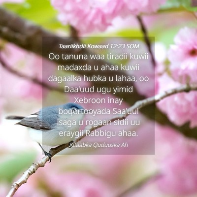 Picture 04 - Taariikhdii Kowaad 12:23 SOM - Oo tanuna waa tiradii kuwii madaxda u ahaa kuwii - Bible Verse Picture