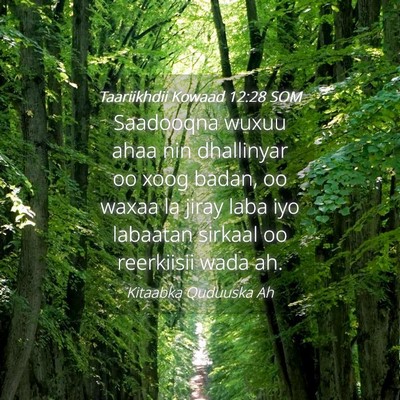 Picture 04 - Taariikhdii Kowaad 12:28 SOM - Saadooqna wuxuu ahaa nin dhallinyar oo xoog - Bible Verse Picture