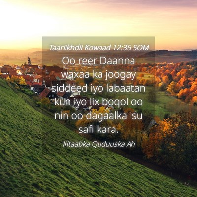 Picture 04 - Taariikhdii Kowaad 12:35 SOM - Oo reer Daanna waxaa ka joogay siddeed iyo - Bible Verse Picture