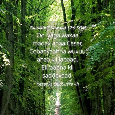 Picture 04 - Taariikhdii Kowaad 12:9 SOM - Oo iyaga waxaa madax ahaa Ceser, Cobadyaahna - Bible Verse Picture