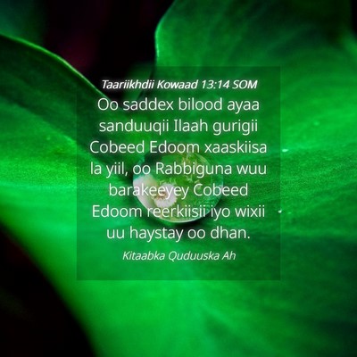 Picture 04 - Taariikhdii Kowaad 13:14 SOM - Oo saddex bilood ayaa sanduuqii Ilaah gurigii - Bible Verse Picture