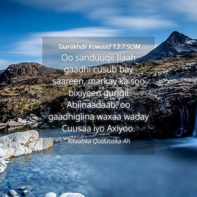 Picture 04 - Taariikhdii Kowaad 13:7 SOM - Oo sanduuqii Ilaah gaadhi cusub bay saareen, - Bible Verse Picture