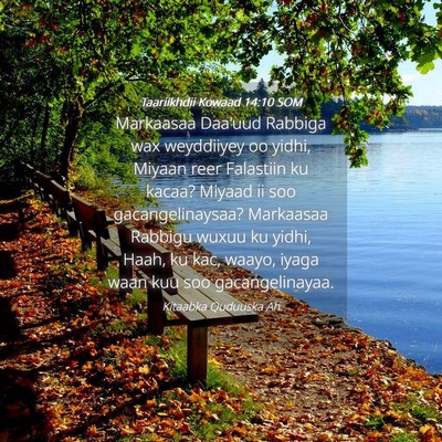 Picture 04 - Taariikhdii Kowaad 14:10 SOM - Markaasaa Daa'uud Rabbiga wax weyddiiyey oo - Bible Verse Picture