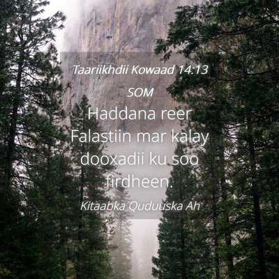 Picture 04 - Taariikhdii Kowaad 14:13 SOM - Haddana reer Falastiin mar kalay dooxadii ku soo - Bible Verse Picture