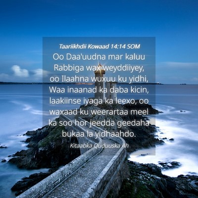 Picture 04 - Taariikhdii Kowaad 14:14 SOM - Oo Daa'uudna mar kaluu Rabbiga wax weyddiiyey, oo - Bible Verse Picture