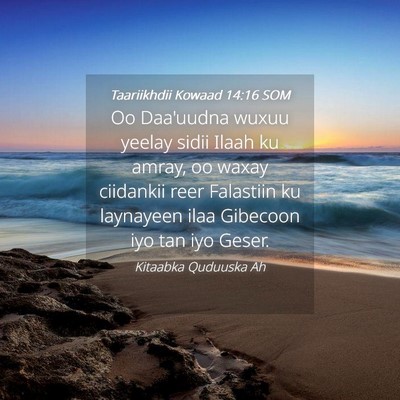 Picture 04 - Taariikhdii Kowaad 14:16 SOM - Oo Daa'uudna wuxuu yeelay sidii Ilaah ku amray, - Bible Verse Picture