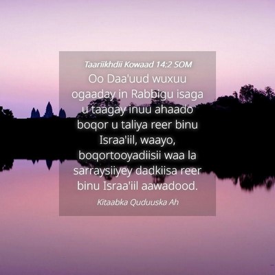 Picture 04 - Taariikhdii Kowaad 14:2 SOM - Oo Daa'uud wuxuu ogaaday in Rabbigu isaga u - Bible Verse Picture