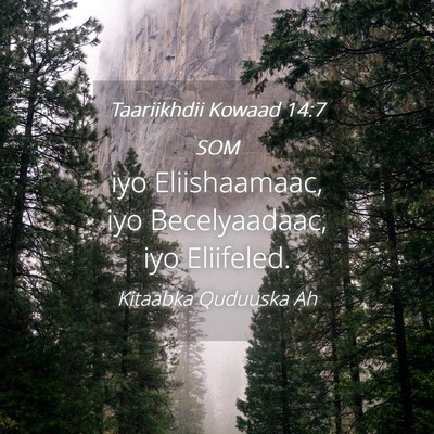 Picture 04 - Taariikhdii Kowaad 14:7 SOM - iyo Eliishaamaac, iyo Becelyaadaac, iyo - Bible Verse Picture