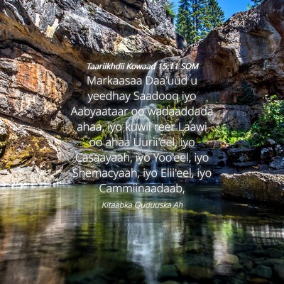 Picture 04 - Taariikhdii Kowaad 15:11 SOM - Markaasaa Daa'uud u yeedhay Saadooq iyo - Bible Verse Picture