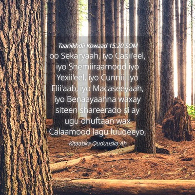 Picture 04 - Taariikhdii Kowaad 15:20 SOM - oo Sekaryaah, iyo Casii'eel, iyo Shemiiraamood - Bible Verse Picture