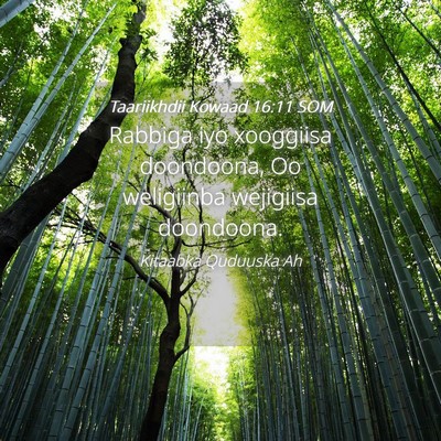 Picture 04 - Taariikhdii Kowaad 16:11 SOM - Rabbiga iyo xooggiisa doondoona, Oo weligiinba - Bible Verse Picture