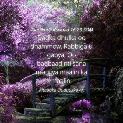 Picture 04 - Taariikhdii Kowaad 16:23 SOM - Dadka dhulka oo dhammow, Rabbiga u gabya, Oo - Bible Verse Picture