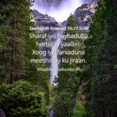 Picture 04 - Taariikhdii Kowaad 16:27 SOM - Sharaf iyo haybaduba hortiisay yaalliin, Xoog iyo - Bible Verse Picture