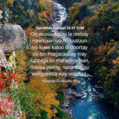 Picture 04 - Taariikhdii Kowaad 16:41 SOM - Oo wuxuu kaloo la reebay Heemaan iyo Yeduutuun - Bible Verse Picture